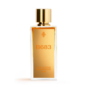 B683