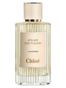 Lavanda